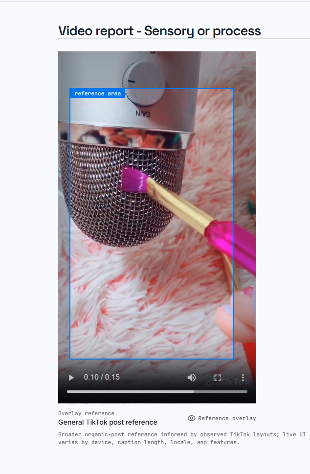 Sample general TikTok post reference overlay on a vertical-video preview.